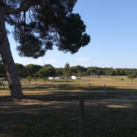 Beach Falesia Albufeira Bagian luar foto